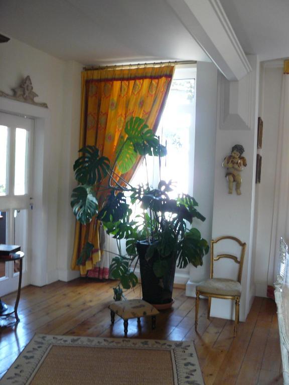 Chambres D'Hotes L'Albinque Castres  Exterior photo